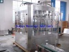 Beer filling machine (beer filler, bottling machine, beer filler monobloc) - Beer filling machine