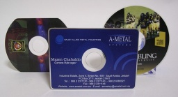 Mini DVD Replication, Mini CD Replication, 8cm CD Replication, 8cm DVD Replication, Blu-ray Disc Replication,  - Mini DVD replication