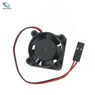 12V Ball Bearing Small Brushless DC Cooling Fan with 25x25x10mm