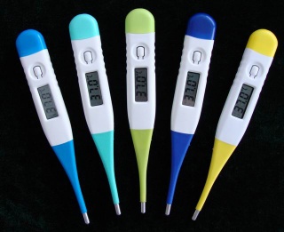 ECT-3 Digital Thermometer (soft and can bended)