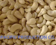 Vietnam Cashew Nut - CSN